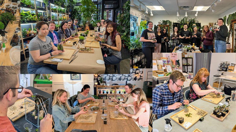 plant workshops