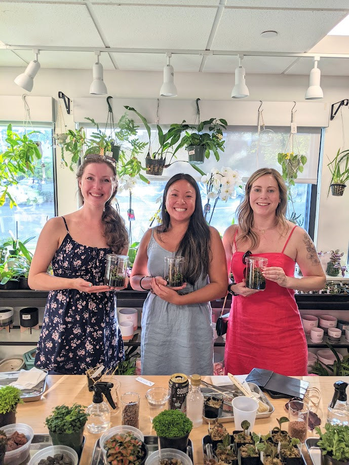 WORKSHOP - Jewel Orchid Terrarium