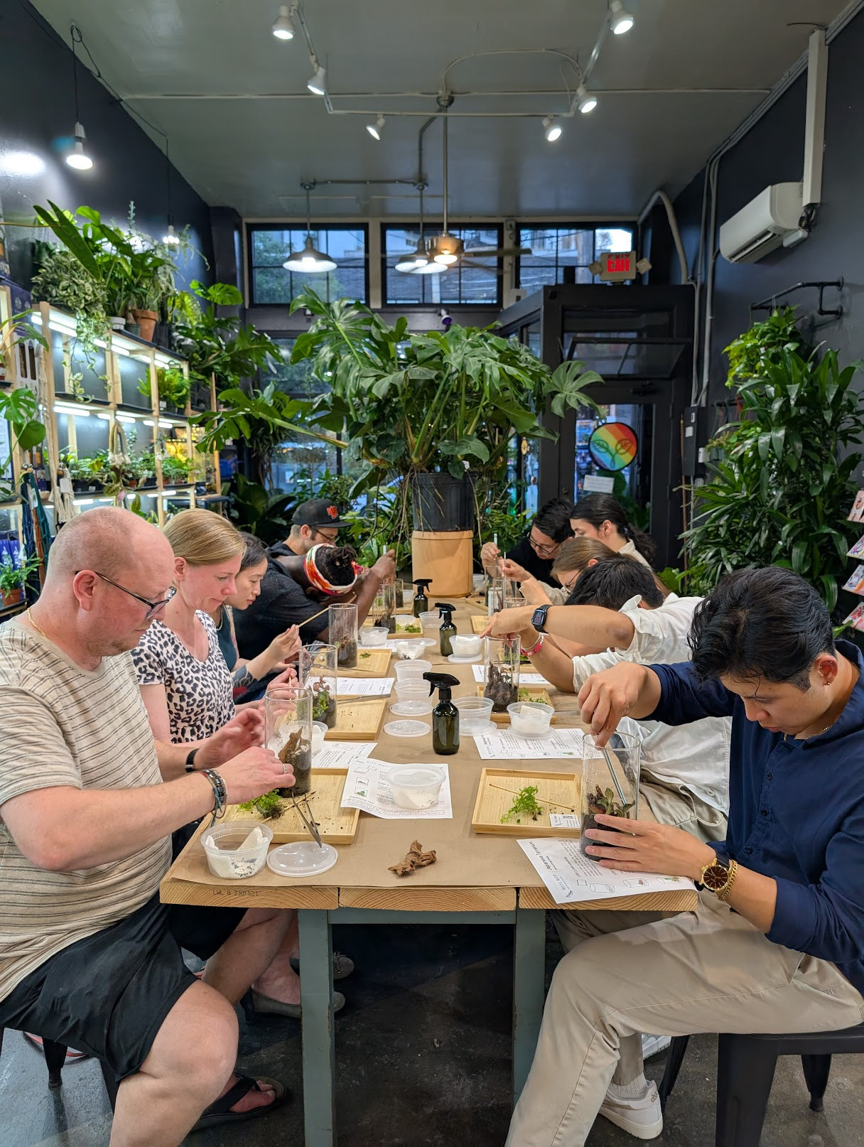 WORKSHOP - Jewel Orchid Terrarium