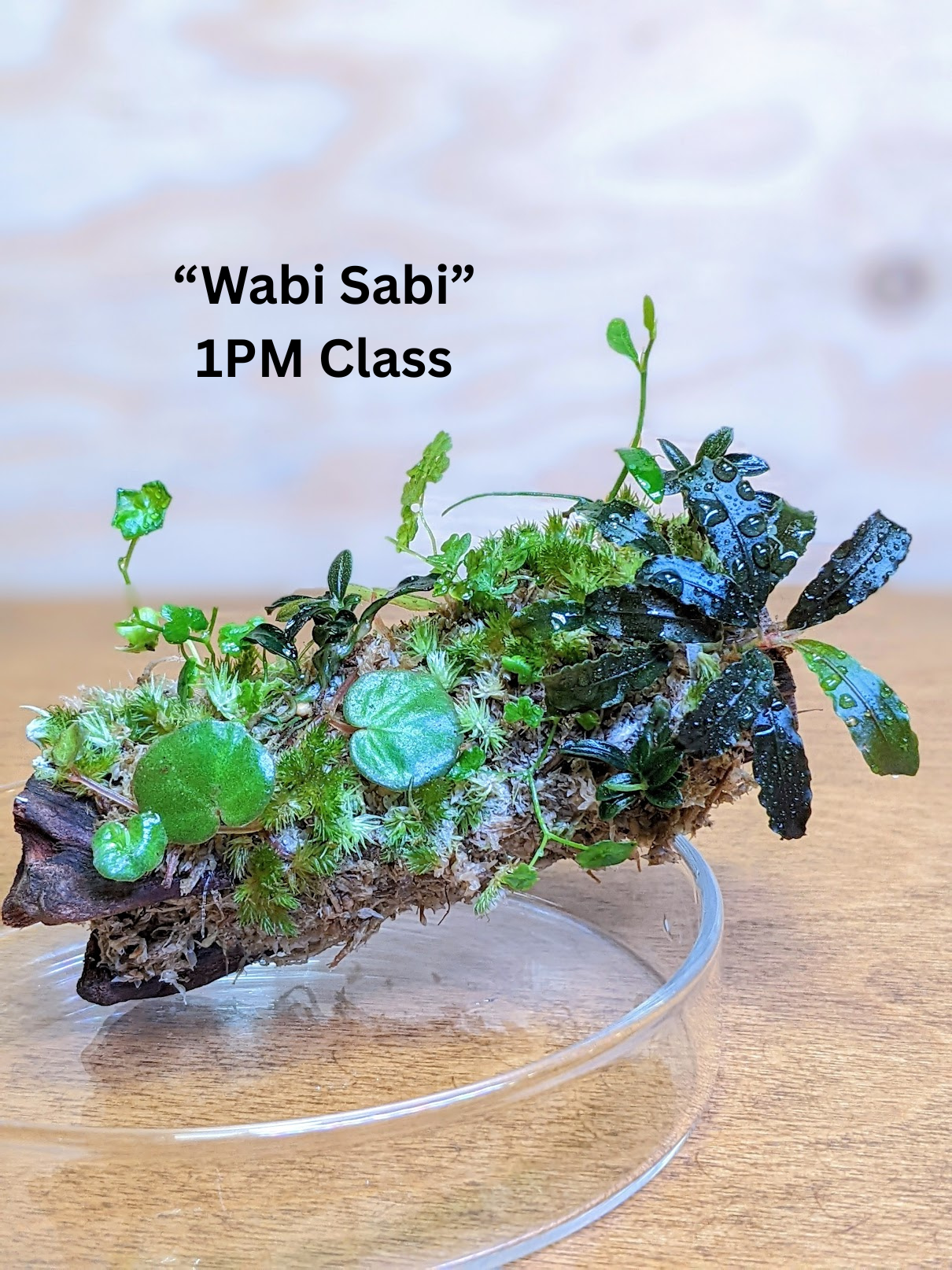 Wabi Kusa and Wabi Sabi Workshops