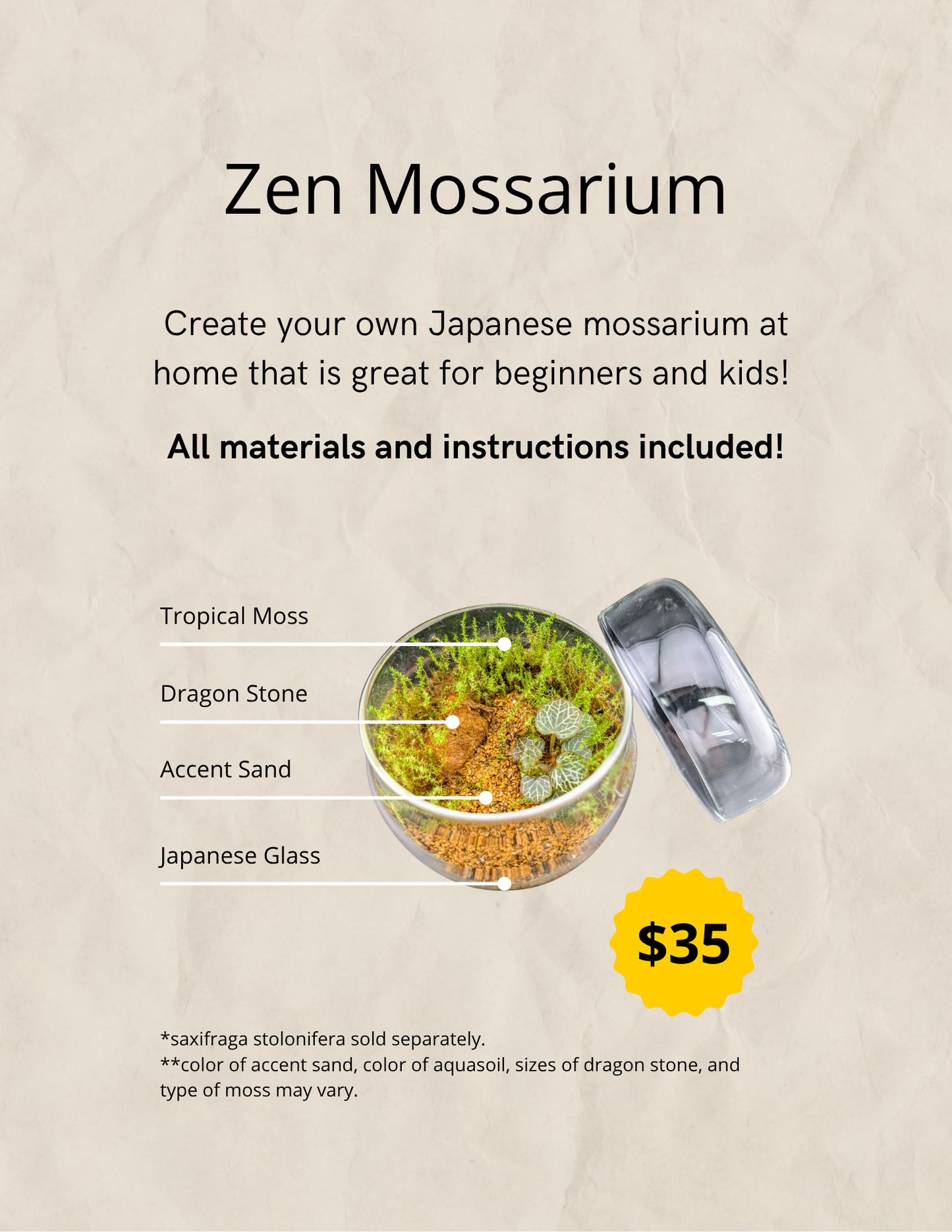 Zen Mossarium - Kit