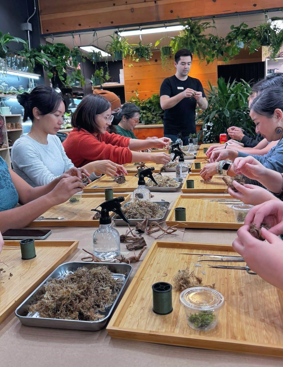 WORKSHOP - Scientific Bottle Terrarium (Kid Friendly!)